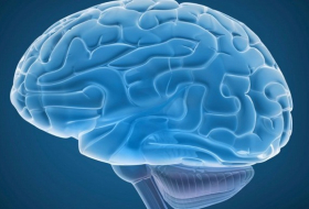 New study suggests brain glitch may cause OCD 